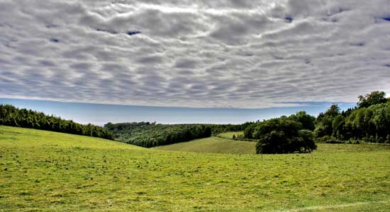 South Downs during summer near Arundel