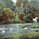 Swanbourne Lake showing the area of the lake where the German Bomber crashed