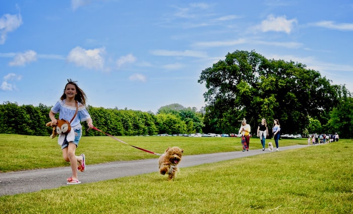 little girl running with dog on lead in park