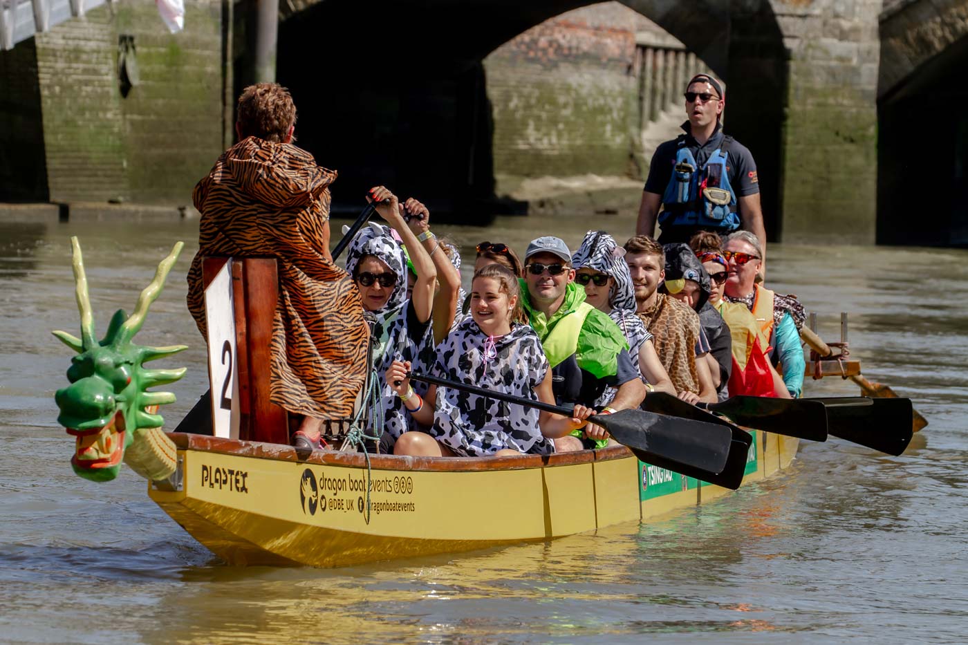 arundel dragon boat race