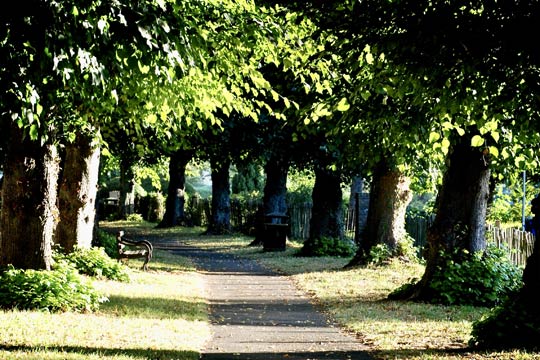 arundel grassy path