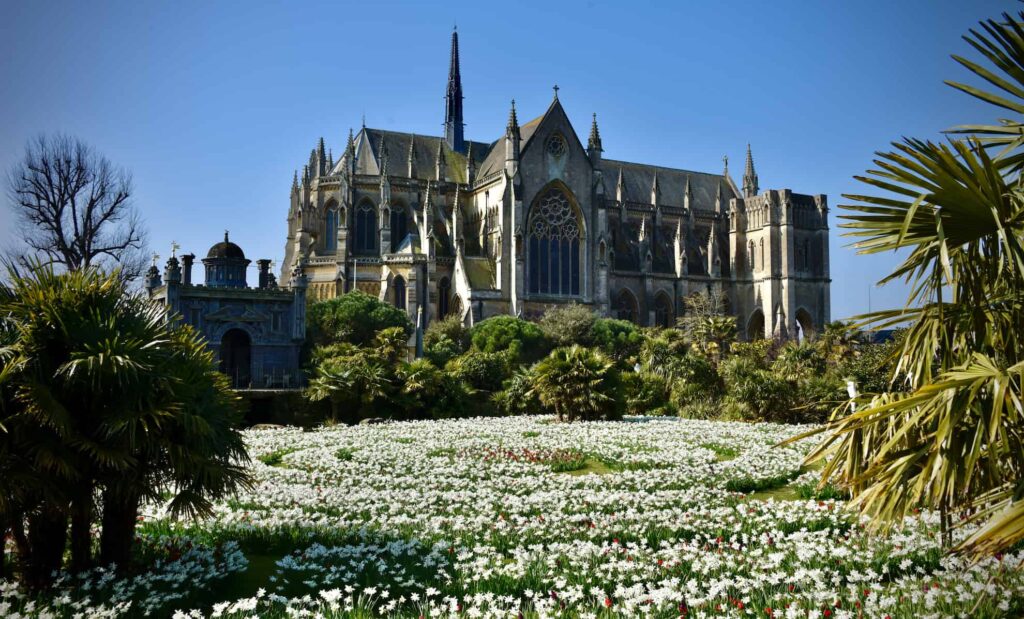 field of tulips with arundel cathedral in background