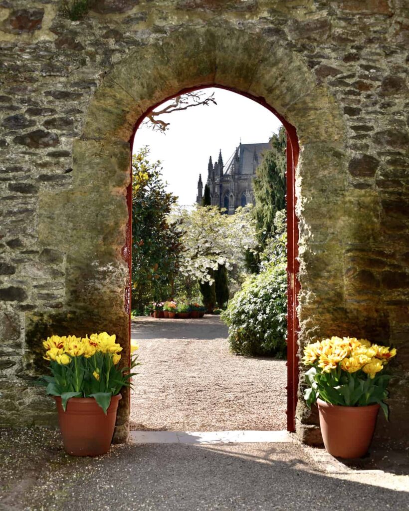 potted tulips outside door in stone wall