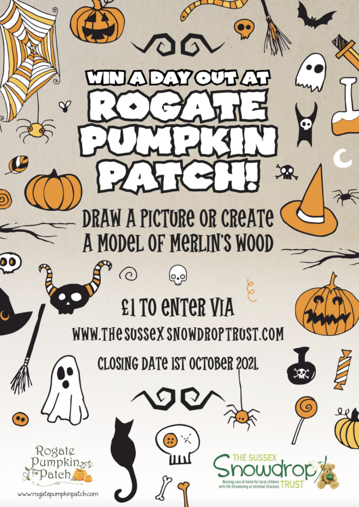 rogate pumpkin patch
