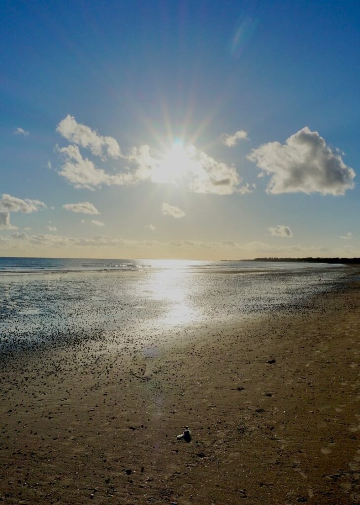 Overlooking Selsey Bill